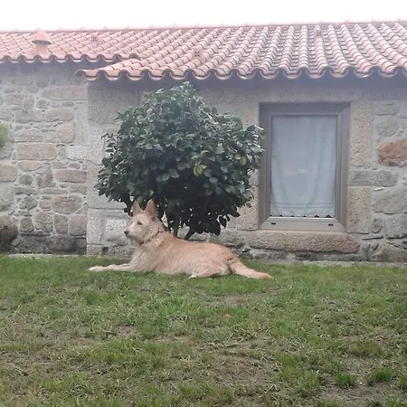 Casa Maria Da Assuncao Holiday home Vila Nova de Cerveira